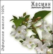 Масла эфирные купить